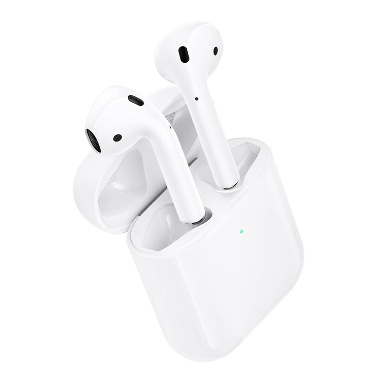 HOCO EW91 TWS Wireless Headphones with Charging Case