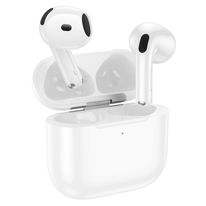 HOCO EW95 TWS Wireless Headphones with Charging Case