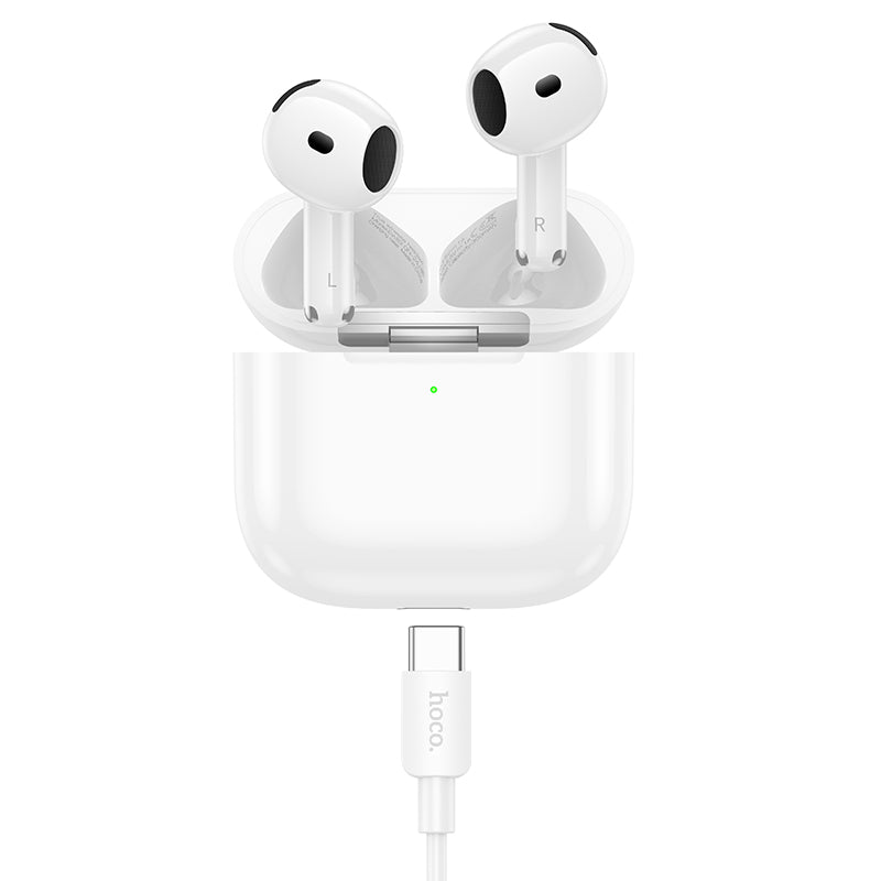 HOCO EW95 TWS Wireless Headphones with Charging Case