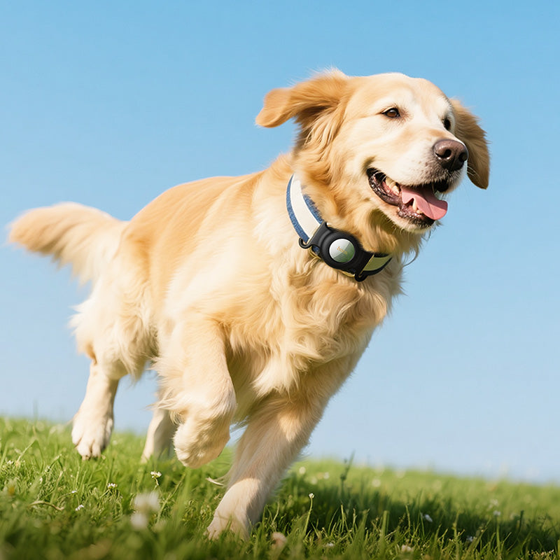 HOCO E91C Smart Anti-Loss Device (Pet Collar Model) (Apple Only)