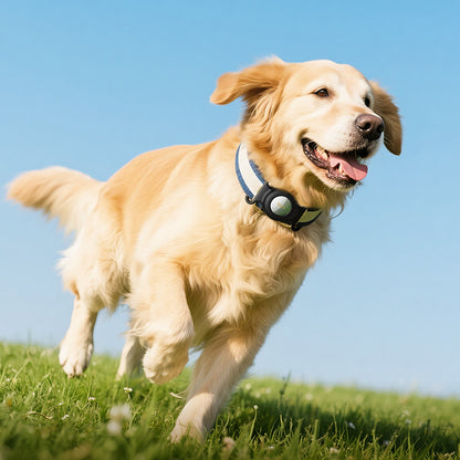 HOCO E91C Smart Anti-Loss Device (Pet Collar Model) (Apple Only)