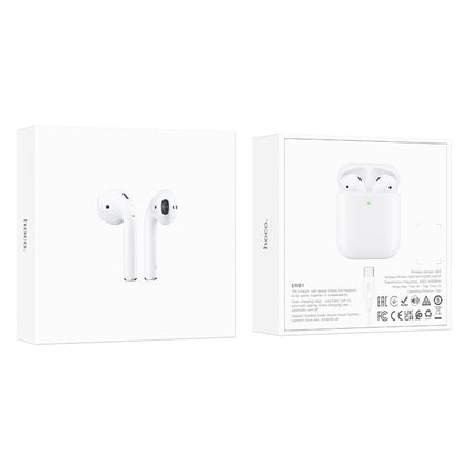 HOCO EW91 TWS Wireless Headphones with Charging Case